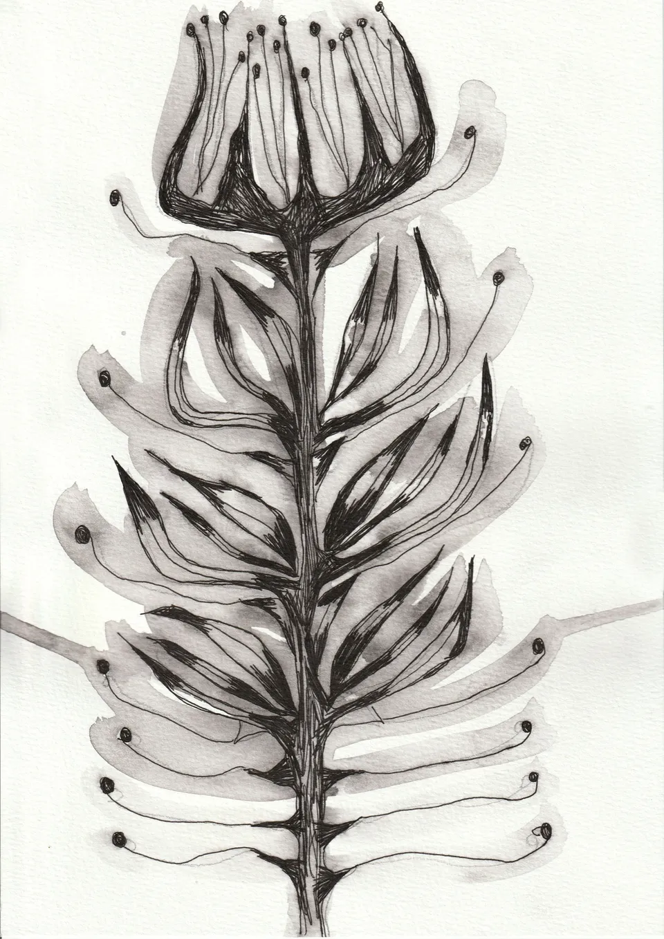 Cuttings No. 4, ink on paper