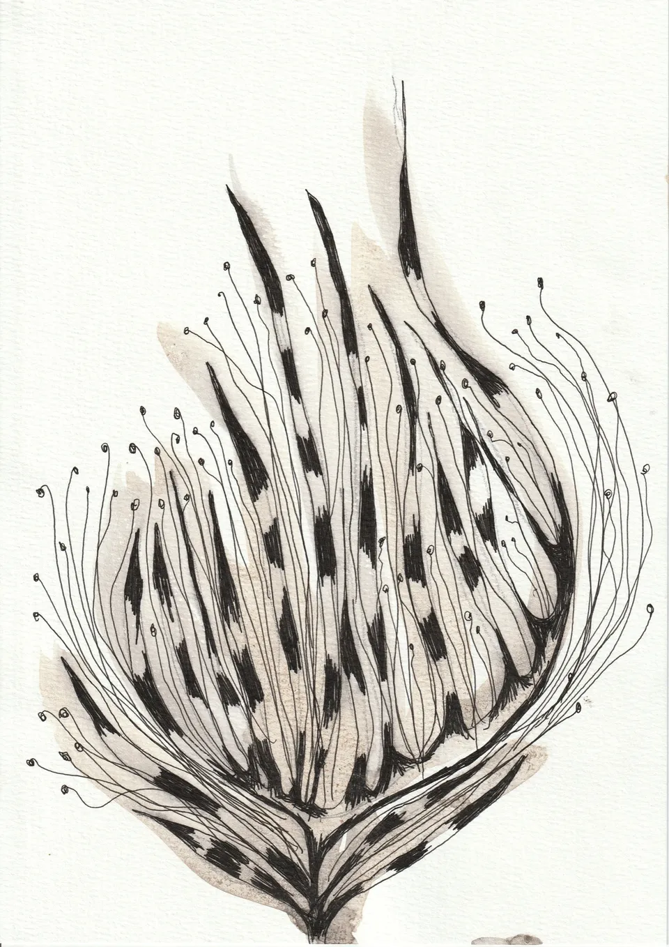Cuttings No. 5, ink on paper