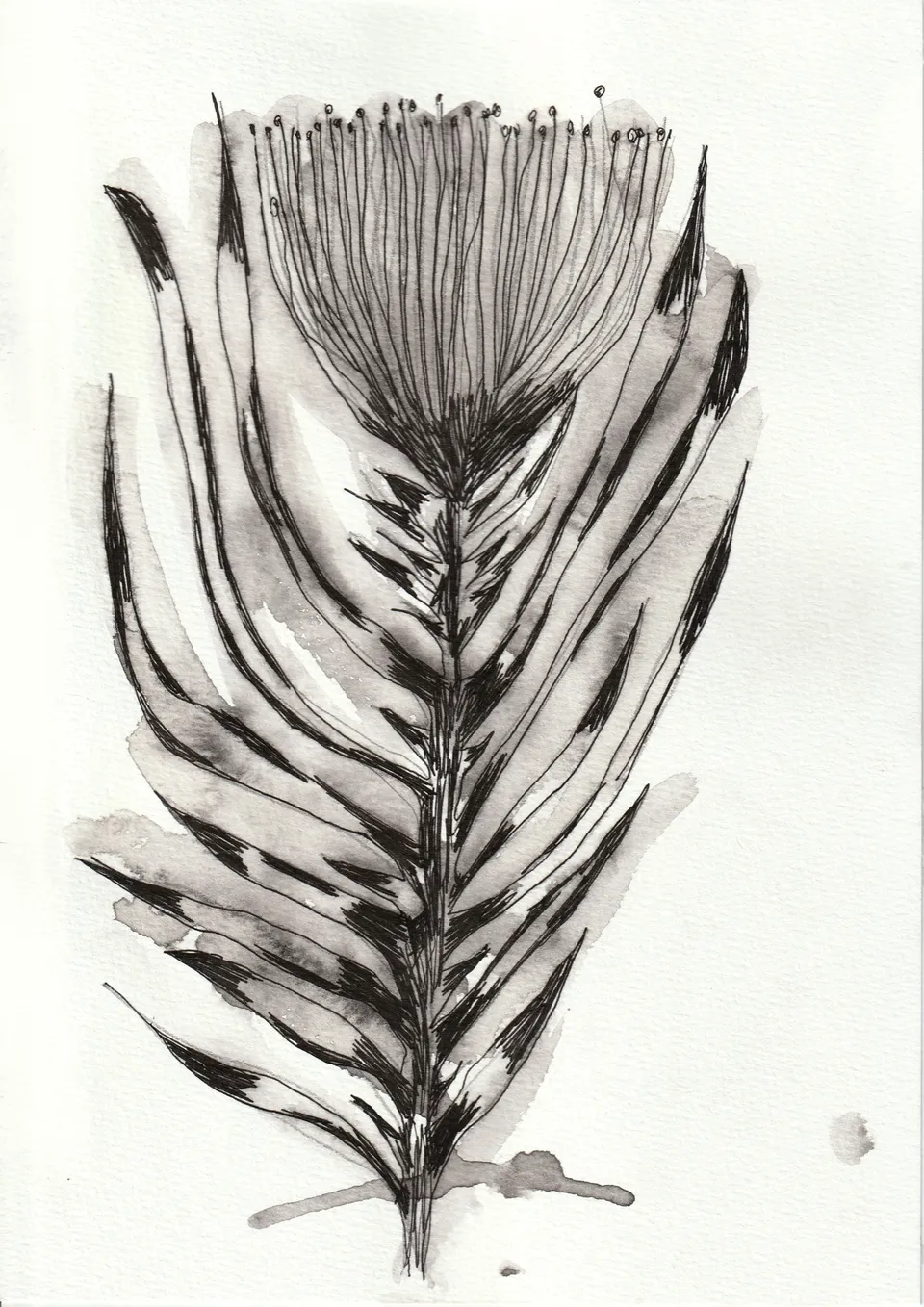 Cuttings No. 6, ink on paper