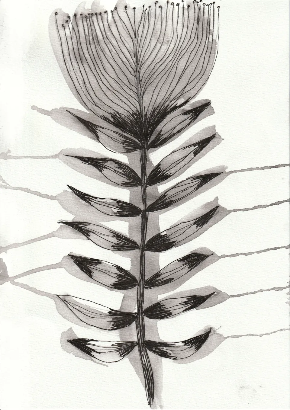 Cuttings No. 14, ink on paper